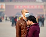 中美研究：吸北京雾霾三周 小白鼠罹肥胖症