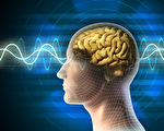 德國神經學家：思維可改變大腦生理結構