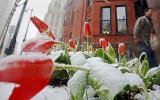 春分已到 紐約殘雪隨處可見 週三再降溫