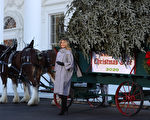 組圖：第一夫人迎聖誕樹 開啟白宮聖誕活動