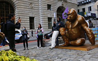 美國華爾街豎立大猩猩銅像 與銅牛相望